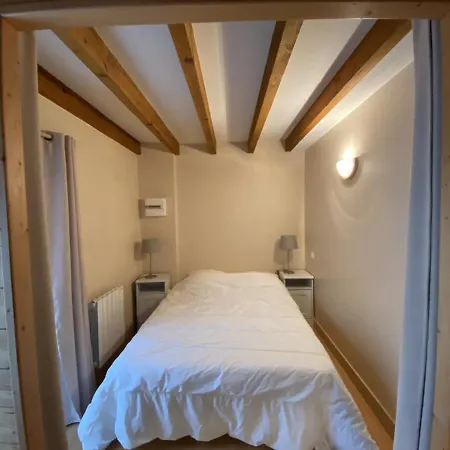 Cosy Au Coeur De La Roche-posay, Proximite Thermes Saint Roch, 2-4 Personnes, Wifi, Animaux Admis - Fr-1-541-44 *